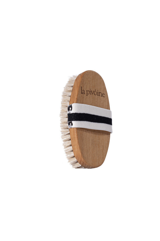 HORSEHAIR BODY BRUSH