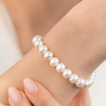 Load image into Gallery viewer, 67
